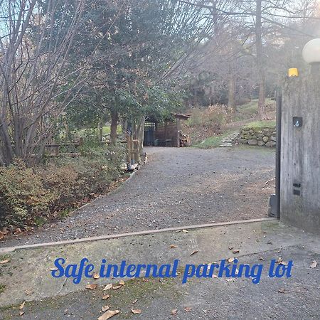 La Dependance Immersa Nel Parco Della Villa Isabella ストレーザ エクステリア 写真
