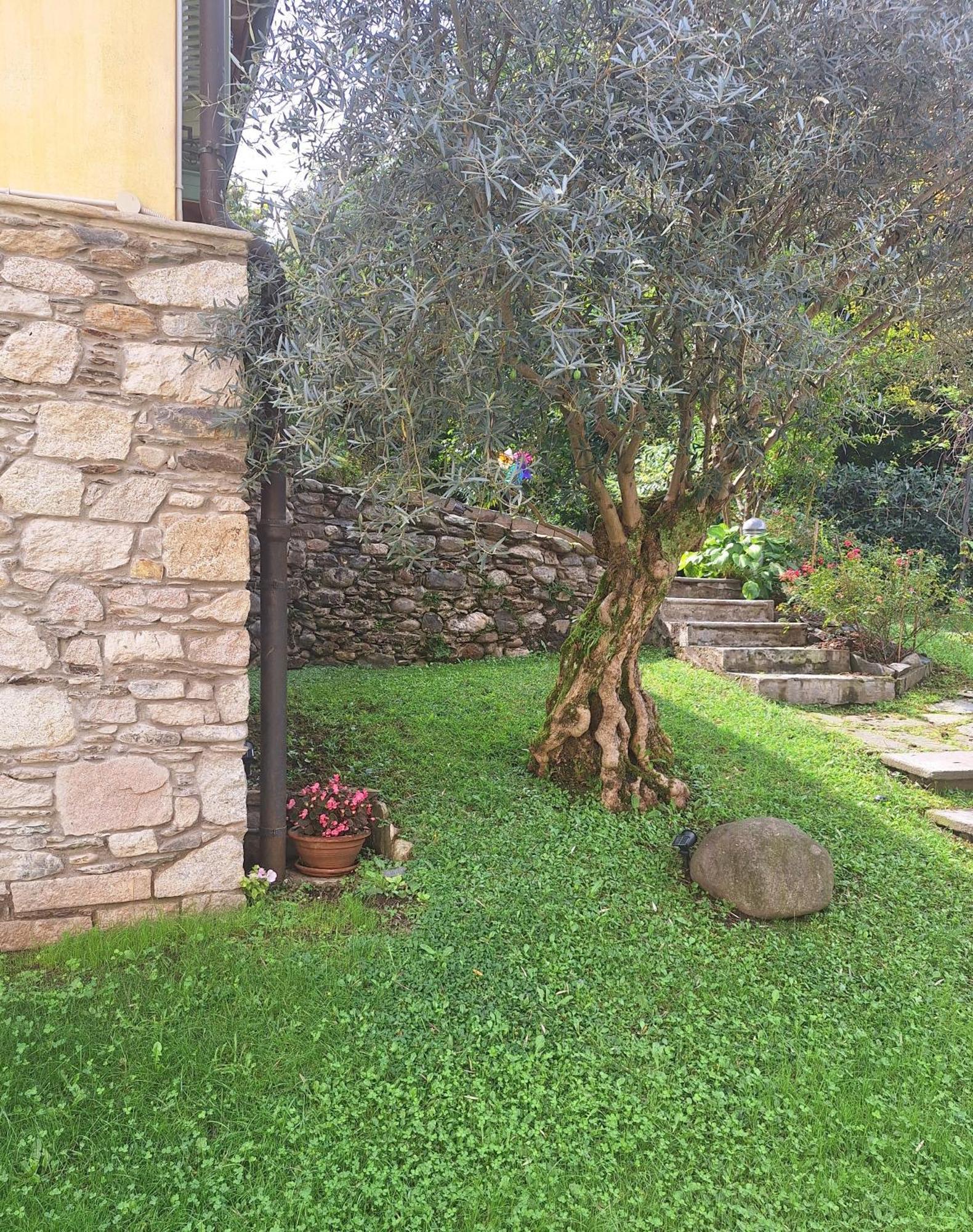 La Dependance Immersa Nel Parco Della Villa Isabella ストレーザ エクステリア 写真